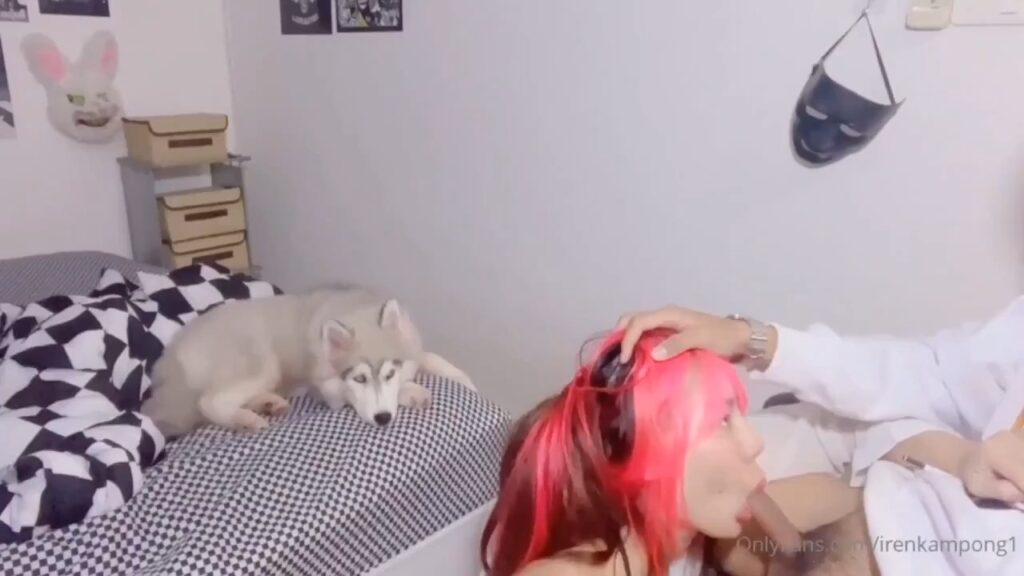 ขายคลิปโป๊ออนไลน์โอนลี่แฟนไทย “น้องไอริน” Irenkampong1 เย็ดสดโชว์ต่อหมาไซบีเรียนฮัสกี้กับอเมริกันพิตบูลดูดควยอย่างกับไอติมจับหัวกดฟินสุดไม่มีอ๊อกเลยไม่อยากควยน้องหมาบางหรือ